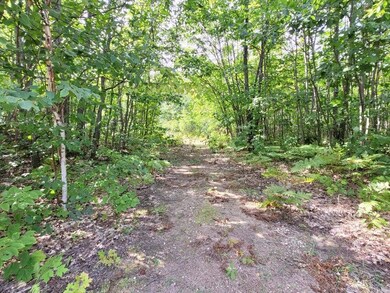 Arbor Ridge Lot 2
