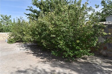 14516 Alcon Dr, Horizon City, TX 79928 - photo 5