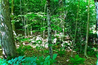 0 Crowningshield Rd unit 1 4819621, Chesterfield, NH 03443 - photo 6