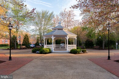 6625 10th St unit B1, Alexandria, VA 22307 - photo 5