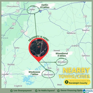 Tract 2B County Road 329, Wedowee, AL 36278 - photo 7