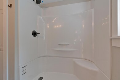 Primary Bathroom Walk-in Shower