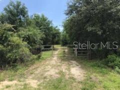 19480 & 19428 NW 304th St, Okeechobee, FL 34972 - photo 7