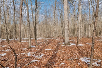 Ground Photo