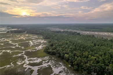 0 Sheffield Island Rd unit 1657713, Woodbine, GA 31569 - photo 3