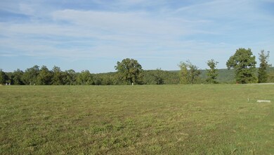 Georgetti Forest View Lot 523 (3)