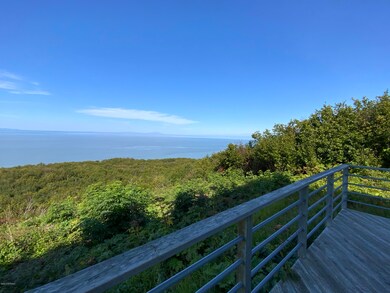 IMG_0600