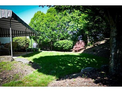 Yard/Garden.