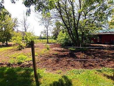 Other Pasture with Rope Electric Fence