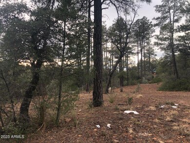 95 Wagon Wheel Way unit B5 ROS 3142 aka 3099, Strawberry, AZ 85544 - photo 5