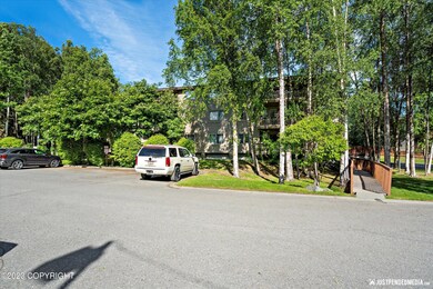 03-DSC02459