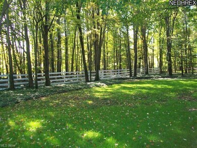 Wooded  private backyard