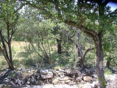 17135 Clovis, Helotes, TX 78023 - photo 5