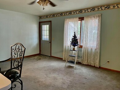 8203 W Glendale Ave, Baldwin, MI 49304 - photo 2