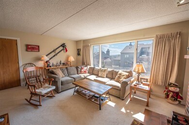 339H Handle Rd unit Elms H, Dover, VT 05356 - photo 2