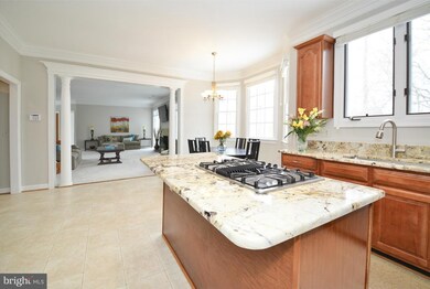 20574 Shadow Woods Ct, Sterling, VA 20165 - photo 6