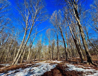 TBD Laurel Creek Trail, Marlinton, WV 24954 - photo 6