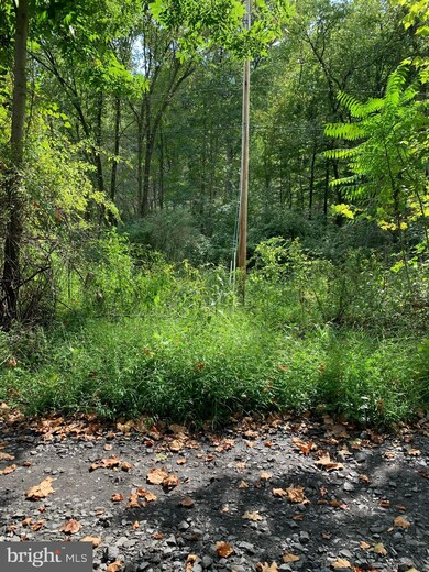 0 Low Line Road Tract 7 unit WVMO2001888, Great Cacapon, WV 25422 - photo 6