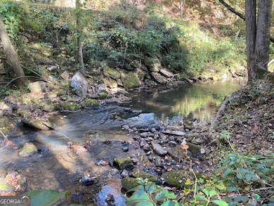 2171 Hollywood Hwy, Clarkesville, GA 30523 - photo 7