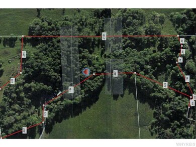 Aerial View. Mostly wooded
