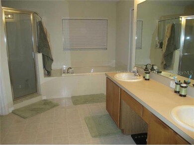 10130 Coldwater Loop, Land O Lakes, FL 34638 - photo 6