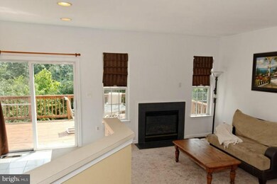 14017 Hawkeye Run Ct, Bristow, VA 20136 - photo 3