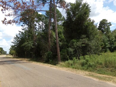 31807 Charter Ln, Waller, TX 77484 - photo 5