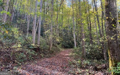 TR 1 Tusquittee Rd, Hayesville, NC 28904 - photo 2