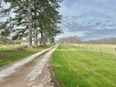 520 Shipley Rd, Manchester, TN 37355 - photo 4