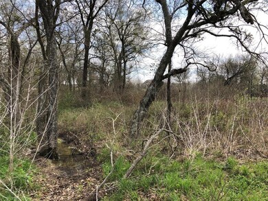 Lot 49 Turnberry Ln, Corsicana, TX 75110 - photo 3