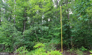 lot 8 Eagles Crag Rd, Shenandoah, VA 22630 - photo 7