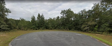 TBD Urmey Ct unit 5, Chipley, FL 32428 - photo 6