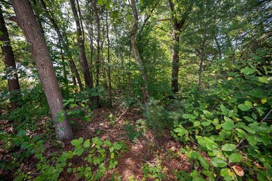 LOT 54B Beverly Rd, Billerica, MA 01821 - photo 7