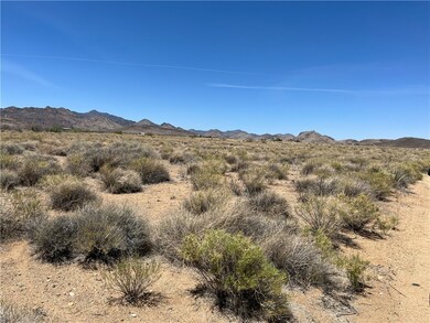 Near NE Property Marker Looking NW