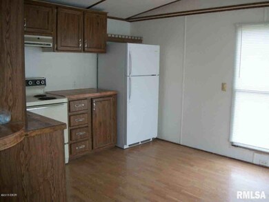 1200 W Raymond St, Harrisburg, IL 62946 - photo 4