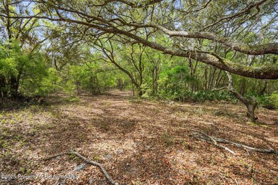 25-web-or-mls-M7309257