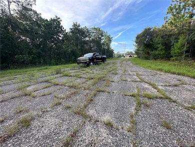 6932 N Steward Point, Citrus Springs, FL 34434 - photo 7