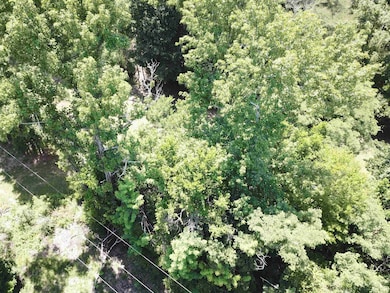 TRACT 11 Texas State Highway 87 unit 1/2 mile on Left bef, Burkeville, TX 75932 - photo 4