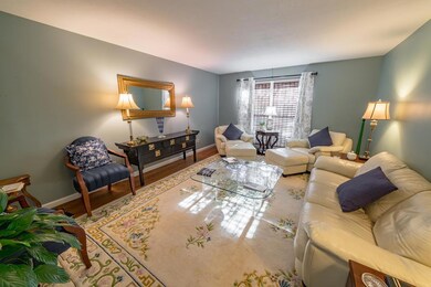 Large Living Room