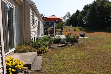 back yard