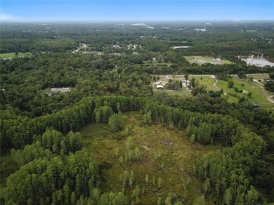 Aerial View from Wetlands in Back