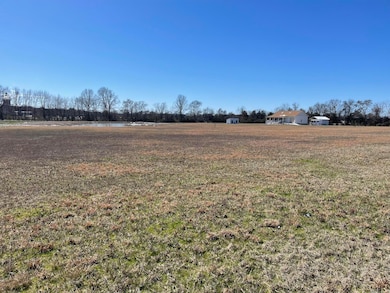 2055 E Church St, Altus, AR 72821 - photo 4