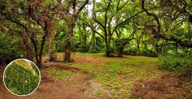 315 Longhorn Trail, Weatherford, TX 76087 - photo 4