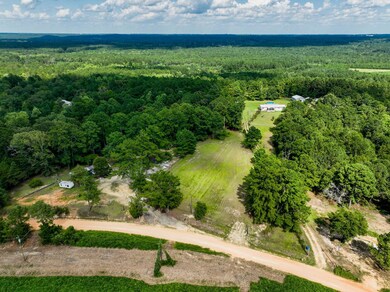 12.5+/- acres Zell Ready Rd, Andalusia, AL 36421 - photo 4