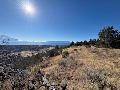 00 Guys Gulch Rd, Yreka, CA 96097 - photo 4