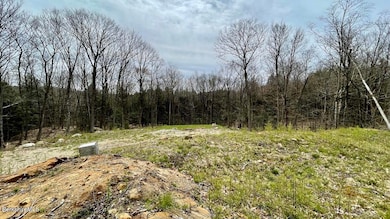 0 Jamie Ln, Sandisfield, MA 01245 - photo 7