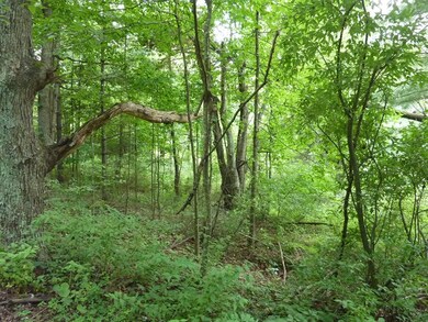 Native Flora & Fauna