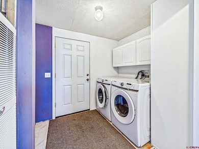 17199 2550 Rd, Cedaredge, CO 81413 - photo 6