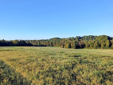 0 Daniels Run Rd, Check, VA 24072 - photo 5