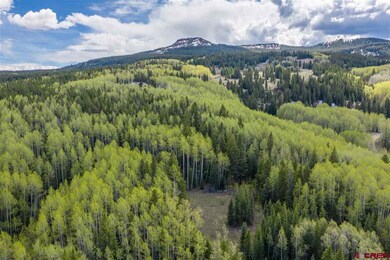 0 Red Mountain Ranch Road Upper Loop unit 734064, Crested Butte, CO 81224 - photo 6